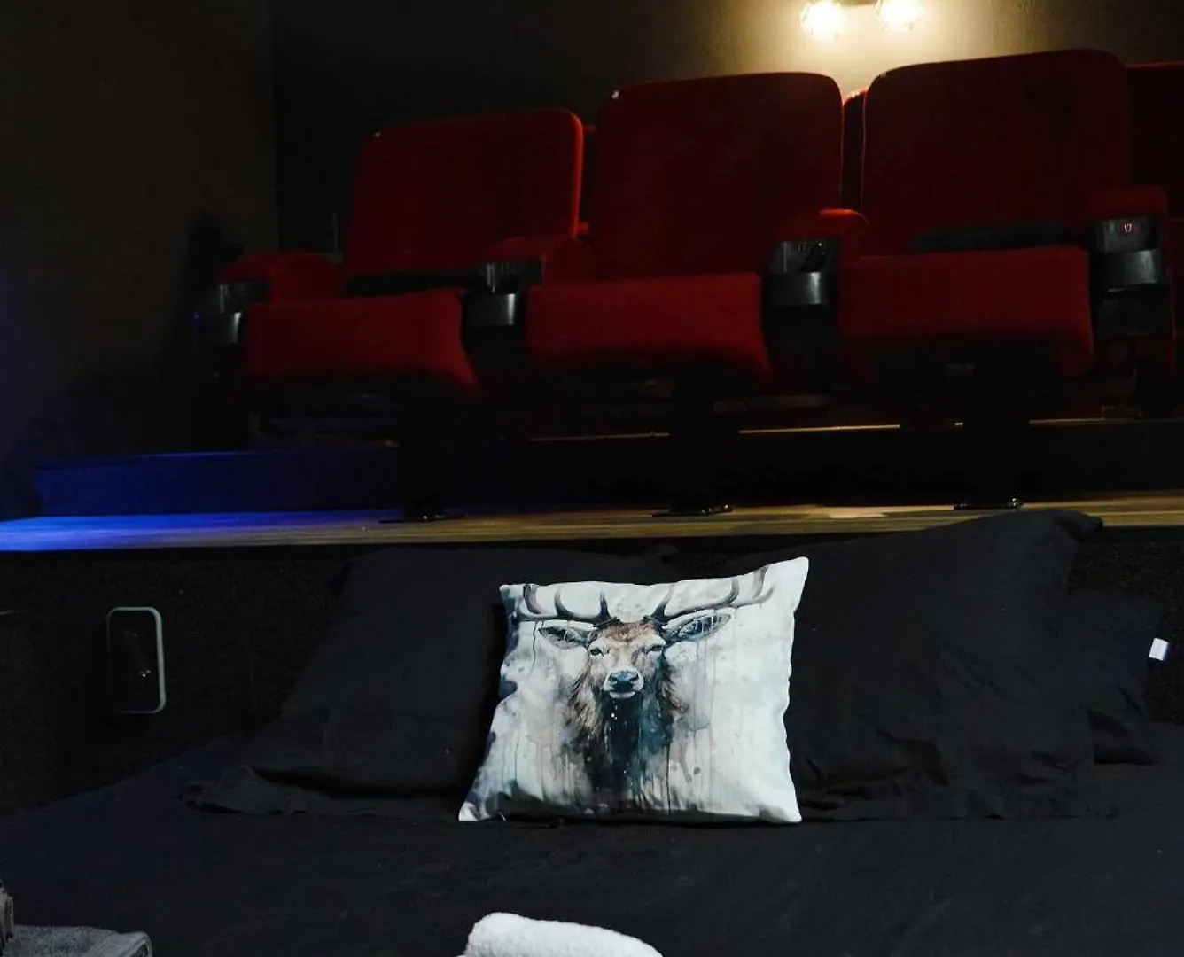 Le Cocon L'Unique Experience Cinema Room De La Grange Savoyarde 1Km Du Lac D'Annecy Lathuile